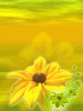 anim240320mobildesign.atw.hu_0116.gif
